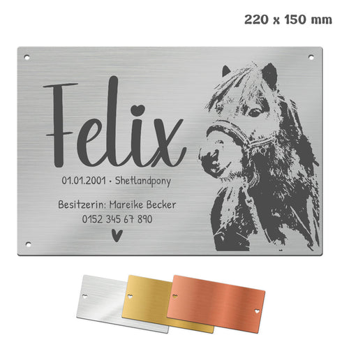 Tür- und Boxenschild "22x15" Metallic